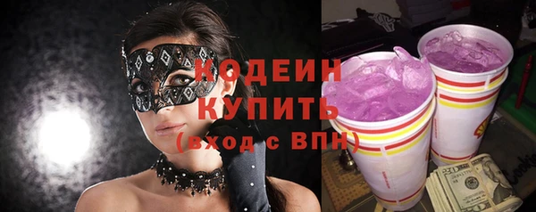 индика Кукмор
