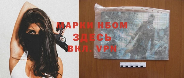 сатива Куйбышев