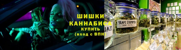 сатива Куйбышев