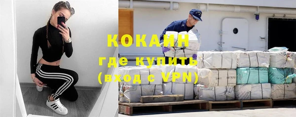индика Кукмор