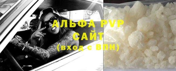 сатива Куйбышев