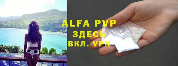 индика Кукмор