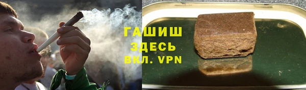 сатива Куйбышев