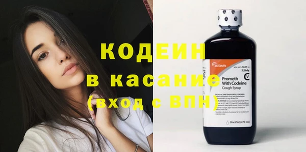 индика Кукмор