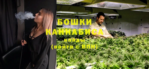 сатива Куйбышев