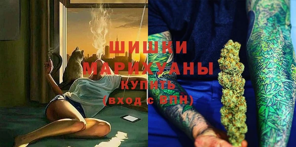 индика Кукмор