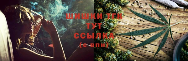 индика Кукмор