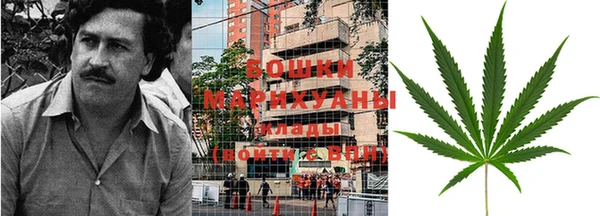 сатива Куйбышев