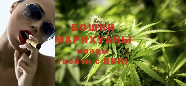 сатива Куйбышев