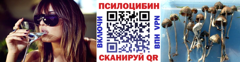 Купить где  Усть-Кут  Галлюциногенные грибы мухоморы 